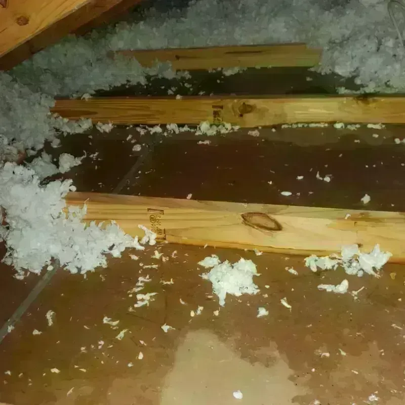 Attic Water Damage in Merlin, OR