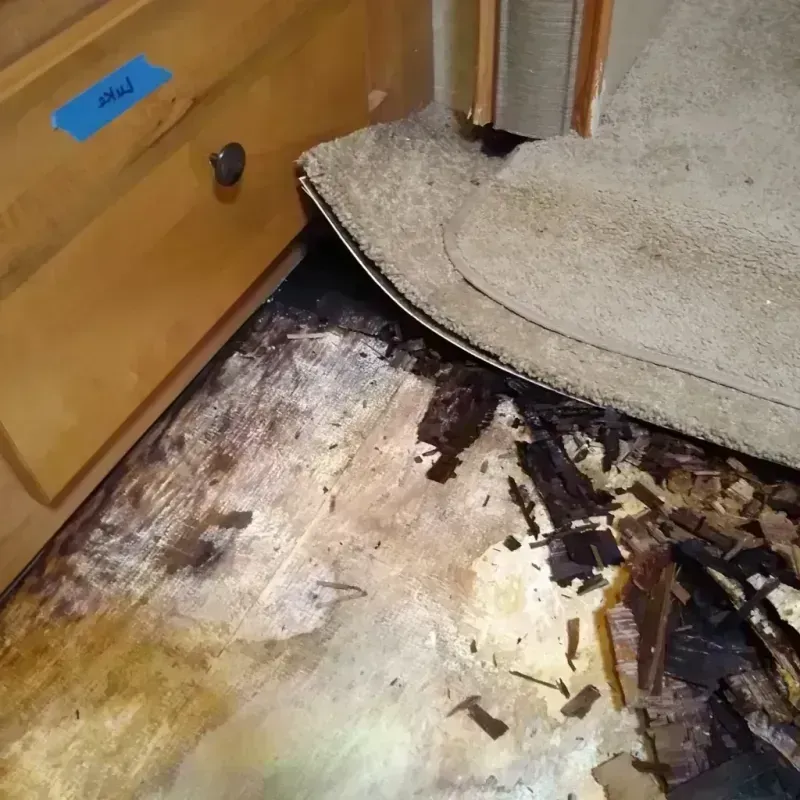 Wood Floor Water Damage in Merlin, OR